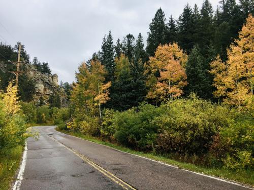 Fall Foliage in Golden Gate Canyon State Park