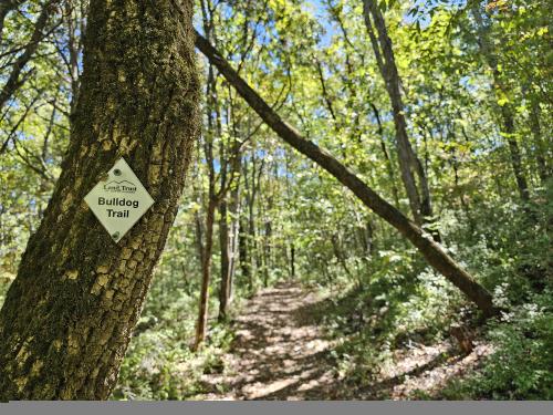 Chapman Mountain hiking trail