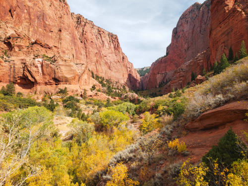 Kolob Canyons, Zion National Park, Fall