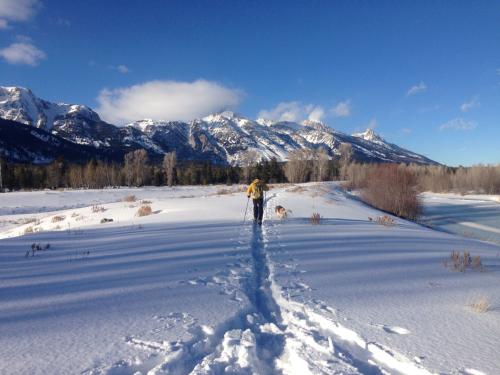 Jackson Hole Nordic Skiing