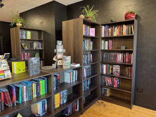 Black Heart Books bookshelf in Manitowoc