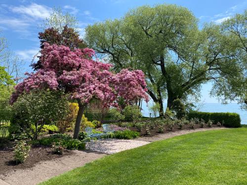 Cherry Blossom tree at West of the Lake Gardens in Manitowoc