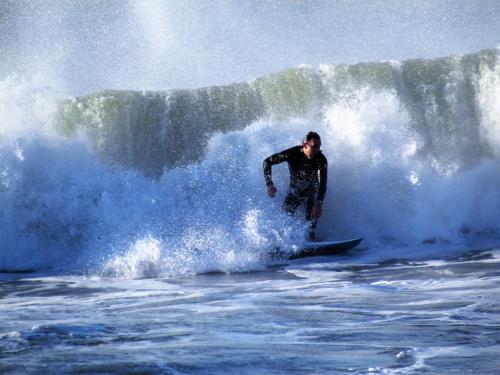 Surfer - Cindy Shanks