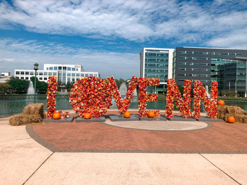LoveNN Sign Fall City Center