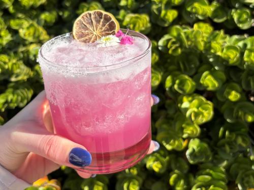 Get Pink-y With It at The Westin Kierland Resort & Spa