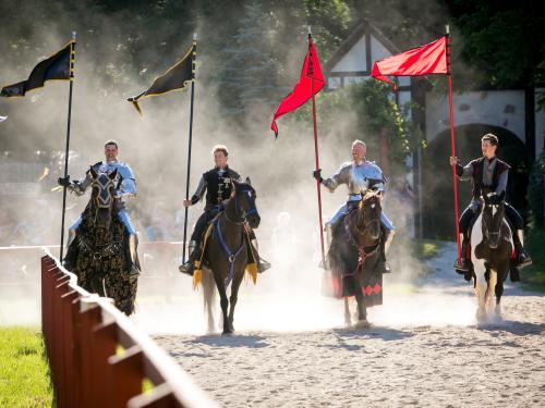 Bristol Renaissance Faire - 4 Riding Knights holding Flags