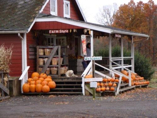 A porch in the front of a red barn that is all decked out for fall with pumpkins
