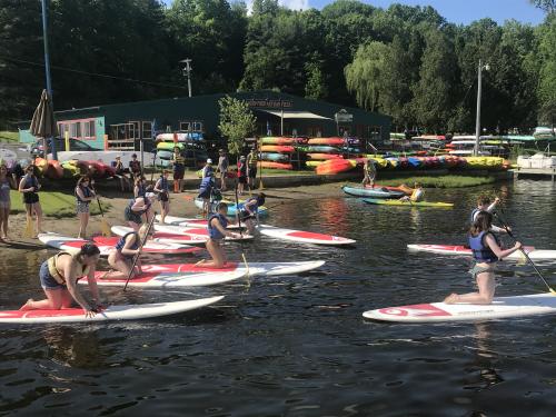 Group of people on paddle boards