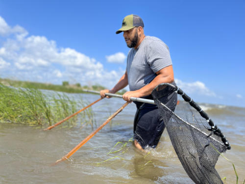 Fisherman Corey LaBostrie uses a crab pusher to flush out Louisiana Blue Crab.