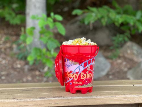 A red bucket filled with popcorn sitting on a picnic table next to a wooded scene