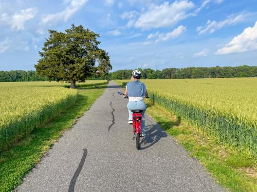 scenic e-bike tour