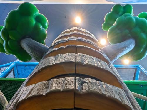 Climbing tree at Lookout Ridge in Central Park