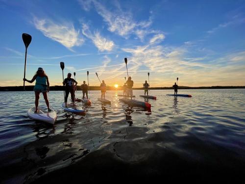 Paddle Boarders