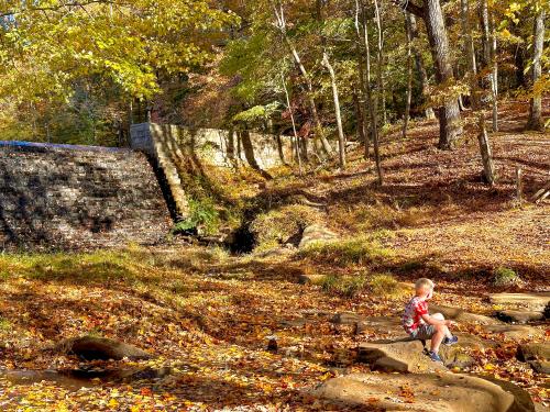 Kings Mountain State Park