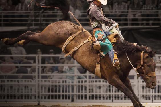 Bronco Rider at Days of '47 Cowboy Games and Rodeo