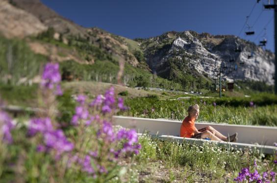 Kid on Alpine Slide at Snowbird