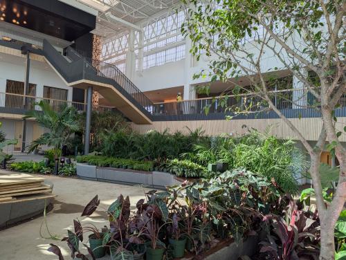 Greenery in renovated Woodbury Central Park.