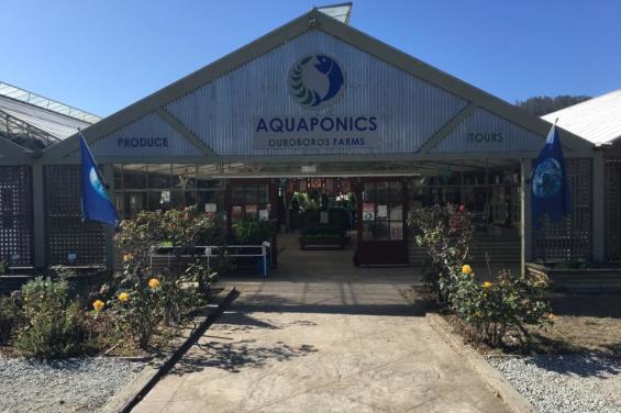 Aquaponics_Farms_HalfMoonBay