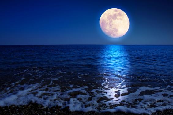 Full Moon by Swetlana Wall on Adobe Free Stock