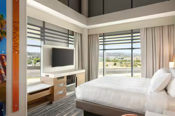Hampton Inn San Mateo King Room overlooking trees