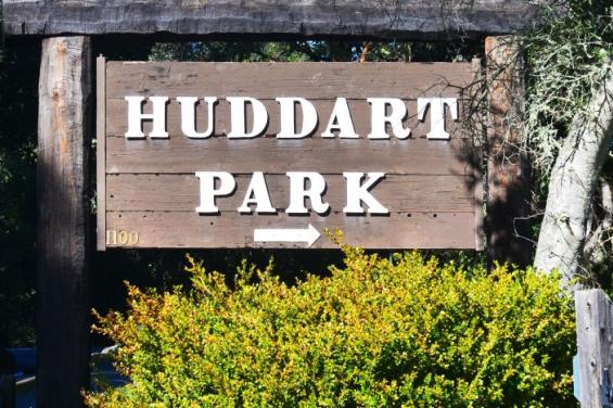 Huddart_Park_by_Edna_Takeda_Geller_(1).jpg