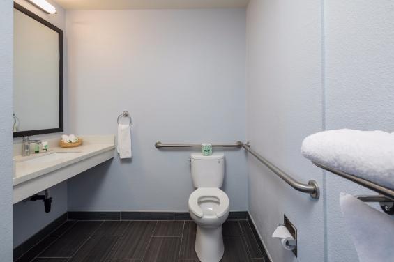 Accessible Toilet