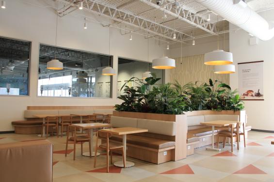 Basquia Dining Space