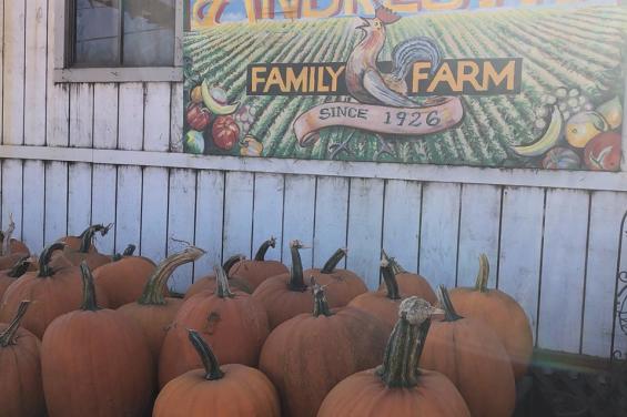 Pumpkins-in-front-of-Andreotti-Sign-at-Andreotti-Family-Farms-in-Half-Moon-Bay