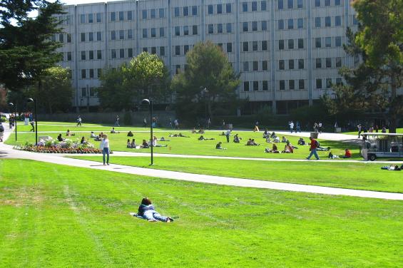 Students at SF State University