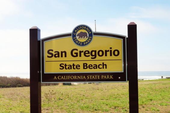 San_Gregorio_State_Beach_by_Amelie_Gissinger.jpg