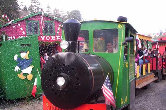 Santas Tree train ride
