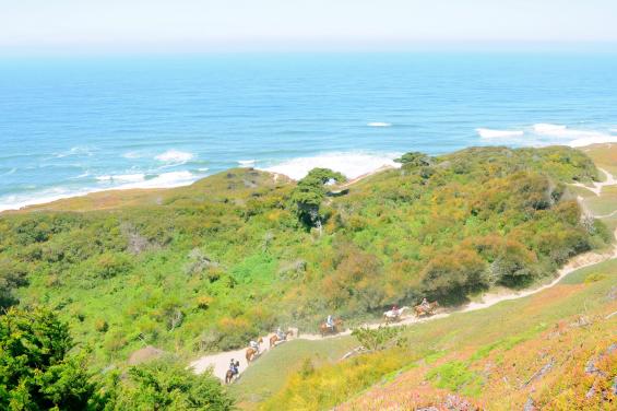 Thorton State Beach by Sharon Hahn Darlin