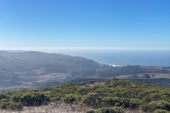 Wild Ocean Ranch 7