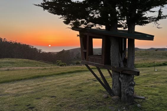 Wild Ocean Ranch 2