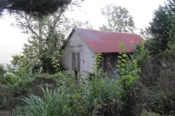 Wild Ocean Ranch