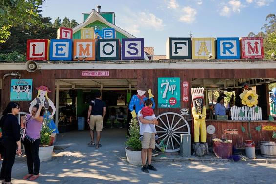 Lemos Farms