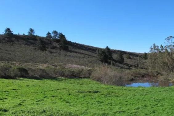 Wild Ocean Ranch
