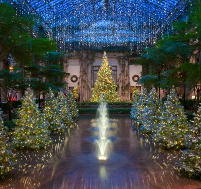 Longwood Christmas Trees