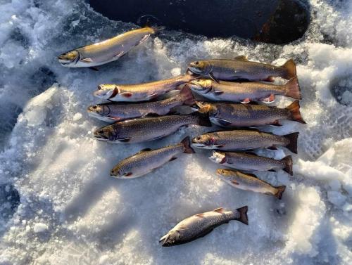 Ice fishing catch of the day in February 2024