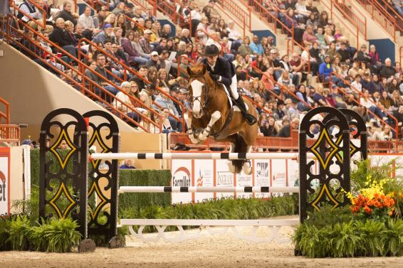 Horse Show - HHSE Homepage