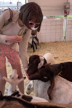 Petting Zoo at the 2022 New Mexico State Fair