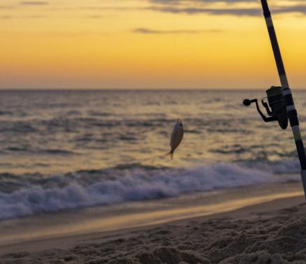 Fishing-pole-fishing-at-sunset