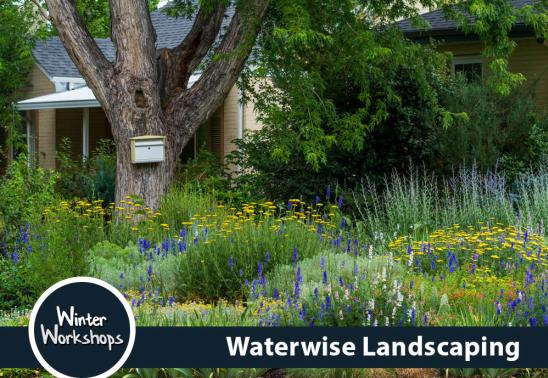 Waterwise Landscaping: Simple Solutions to Save Water