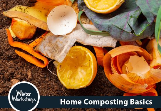 Home Composting Basics