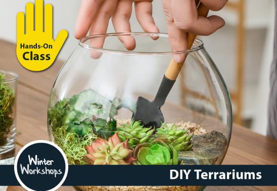 DIY Terrariums: Building Tiny Worlds