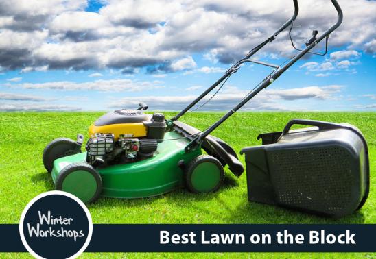 Best Lawn on the Block