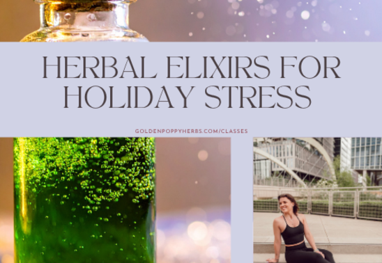 Herbal Elixirs for Holiday Stress with Emilee Williams
