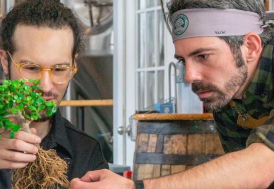 Bonsai Workshop at Gilded Goat Brewing Company - Midtown