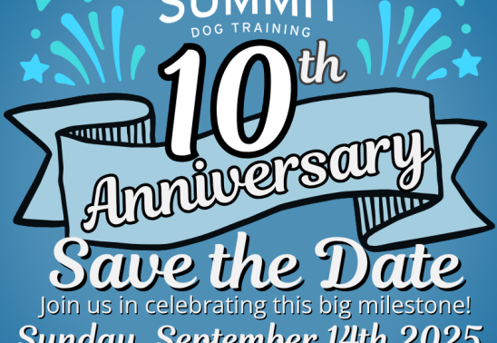 Summit Dog Training's 10th Anniversary!