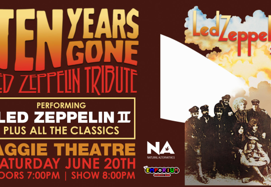 Ten Years Gone: Led Zeppelin Tribute